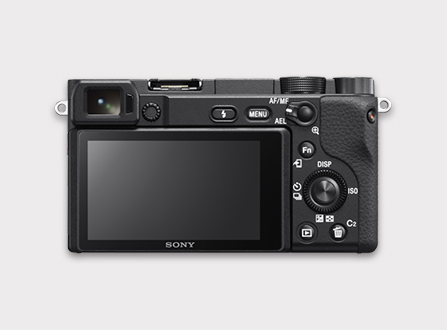 Sony | Alpha Universe | Middle East and Africa